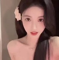精选介绍入口
